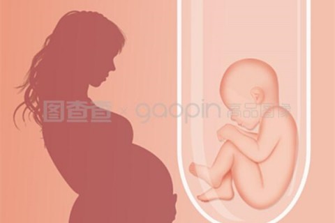 http://changchun.hy-ly.com/post/208.html|长春人工试管