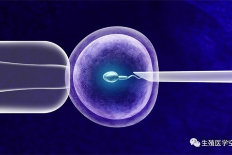女人长春代生孩子的最佳年龄段 一辈子生几个孩子最好